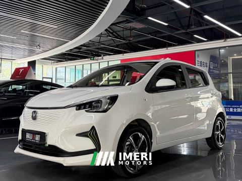 2021 Changan Benben E-Star Shangxin Colorful Edition NMC