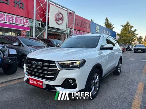 2021 Haval H6 1.5T Automatic Champion Edition - ავტომობილი ჩინეთიდან