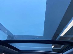 FAW Red Flag HS3 PHEV 125km Range Jingwei PLUS 2 Million Units Anniversary Edition - ფოტო 14