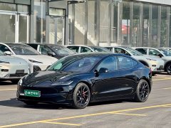 Tesla Model 3 High Performance All-Wheel Drive - ფოტო 1