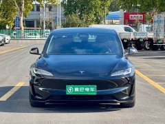 Tesla Model 3 High Performance All-Wheel Drive - ფოტო 2