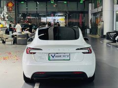 Tesla Model 3 Rear-Wheel Drive - ფოტო 8
