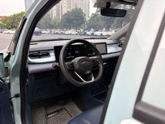 Geely Geometry E Firefly 401KM Linglong Tiger 5-Seater - ფოტო 8