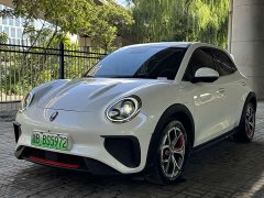 ORA Good Cat GT 2023 Mulan Edition 401km Luxury - ფოტო 1