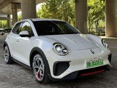 ORA Good Cat GT 2023 Mulan Edition 401km Luxury - ფოტო 2