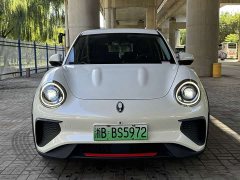 ORA Good Cat GT 2023 Mulan Edition 401km Luxury - ფოტო 3