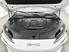 BYD Song Plus New Energy Glory Edition EV 520km Deluxe - ფოტო 12