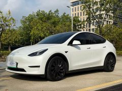 Tesla Model Y 2021 Performance All-Wheel Drive - ფოტო 1