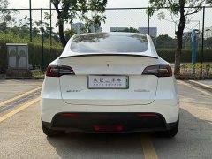 Tesla Model Y 2021 Performance All-Wheel Drive - ფოტო 10