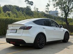 Tesla Model Y 2021 Performance All-Wheel Drive - ფოტო 13
