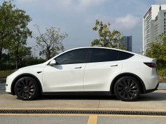 Tesla Model Y 2021 Performance All-Wheel Drive - ფოტო 16