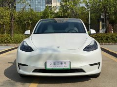 Tesla Model Y 2021 Performance All-Wheel Drive - ფოტო 2
