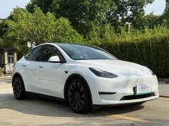 Tesla Model Y 2021 Performance All-Wheel Drive - ფოტო 3