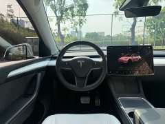 Tesla Model Y 2021 Performance All-Wheel Drive - ფოტო 5