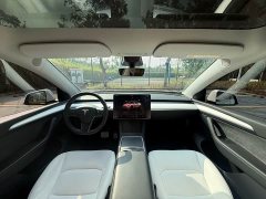 Tesla Model Y 2021 Performance All-Wheel Drive - ფოტო 7