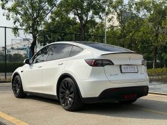 Tesla Model Y 2021 Performance All-Wheel Drive - ფოტო 9