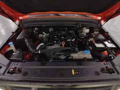 Tank 300 Off-Road Edition 2.0T Conqueror - ფოტო 6