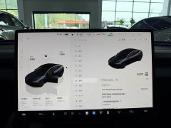 Tesla Model 3 Rear-Wheel Drive - ფოტო 12