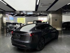 Tesla Model 3 Rear-Wheel Drive - ფოტო 14