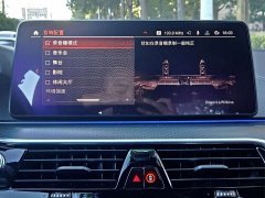 BMW 5 Series 530Li Executive M Sport Package - ფოტო 16