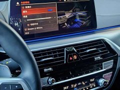 BMW 5 Series 530Li Executive M Sport Package - ფოტო 18