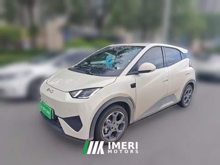 BYD Seagull 2025 Smart Driving Edition 305km Freedom Edition - ავტომობილი ჩინეთიდან