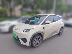 BYD Seagull 2025 Smart Driving Edition 305km Freedom Edition - ფოტო 1