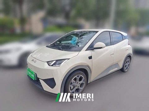 2026 BYD Seagull 2025 Smart Driving Edition 305km Freedom Edition - ავტომობილი ჩინეთიდან