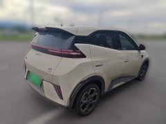 BYD Seagull 2025 Smart Driving Edition 305km Freedom Edition - ფოტო 6