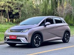 BYD Dolphin 405km Fashion Edition - ფოტო 1