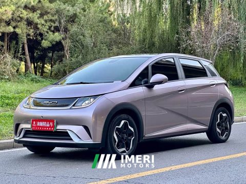 2022 BYD Dolphin 405km Fashion Edition - ავტომობილი ჩინეთიდან