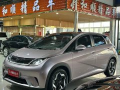 BYD Dolphin 405km Fashion Edition - ფოტო 18