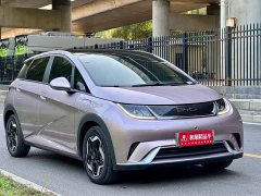 BYD Dolphin 405km Fashion Edition - ფოტო 20