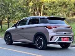 BYD Dolphin 405km Fashion Edition - ფოტო 5