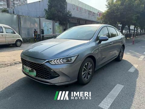 2024 BYD Qin PLUS Glory Edition DM-i 55KM Leading