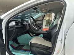 BYD Destroyer 05 Glory Edition DM-i 55KM Luxury - ფოტო 10