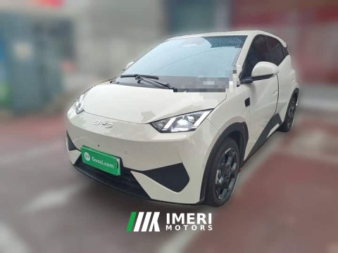 2025 BYD Seagull Smart Driving Edition 305km Freedom Edition - ავტომობილი ჩინეთიდან