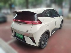 BYD Seagull Smart Driving Edition 305km Freedom Edition - ფოტო 4