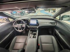 Lexus RX 300 AWD Premium Edition - ფოტო 7