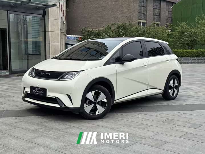 BYD Dolphin 420km Fashion Edition - ავტომობილი ჩინეთიდან
