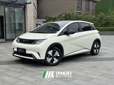 2023 BYD Dolphin 420km Fashion Edition - ავტომობილი ჩინეთიდან