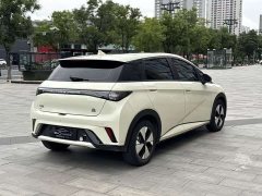 BYD Dolphin 420km Fashion Edition - ფოტო 20