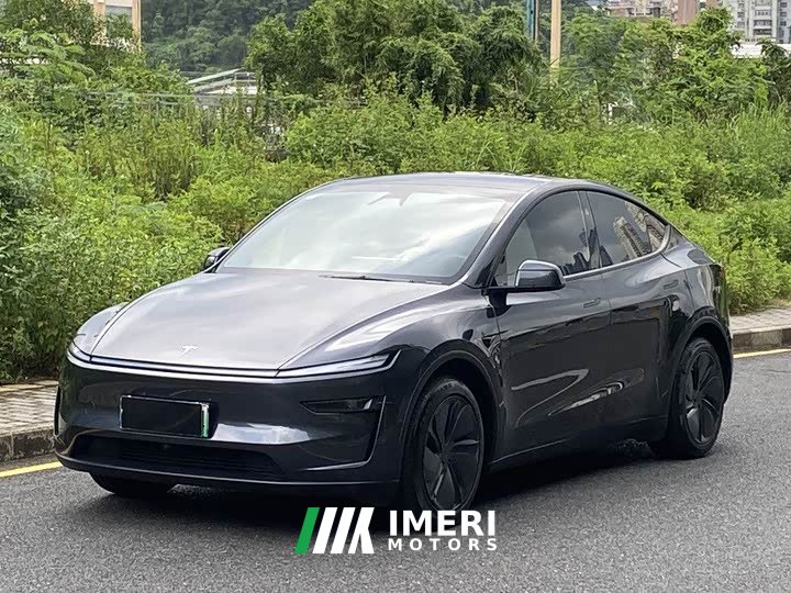 Tesla Model Y Rear-Wheel Drive