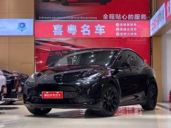 Tesla Model Y Rear-Wheel Drive - ფოტო 1