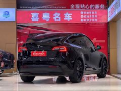 Tesla Model Y Rear-Wheel Drive - ფოტო 2