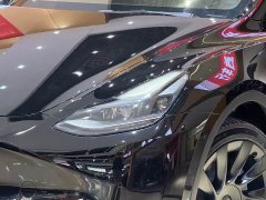 Tesla Model Y Rear-Wheel Drive - ფოტო 3