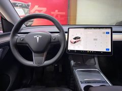 Tesla Model Y Rear-Wheel Drive - ფოტო 8