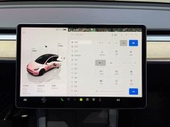 Tesla Model Y Rear-Wheel Drive - ფოტო 9