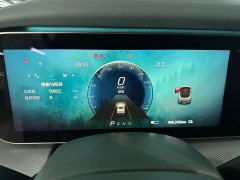Arcfox Alpha-S 735E Forest Edition 160kW - ფოტო 15