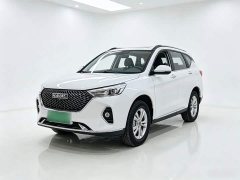 Haval M6 PLUS 1.5T DCT Luxury Smart Connected Edition - ფოტო 1